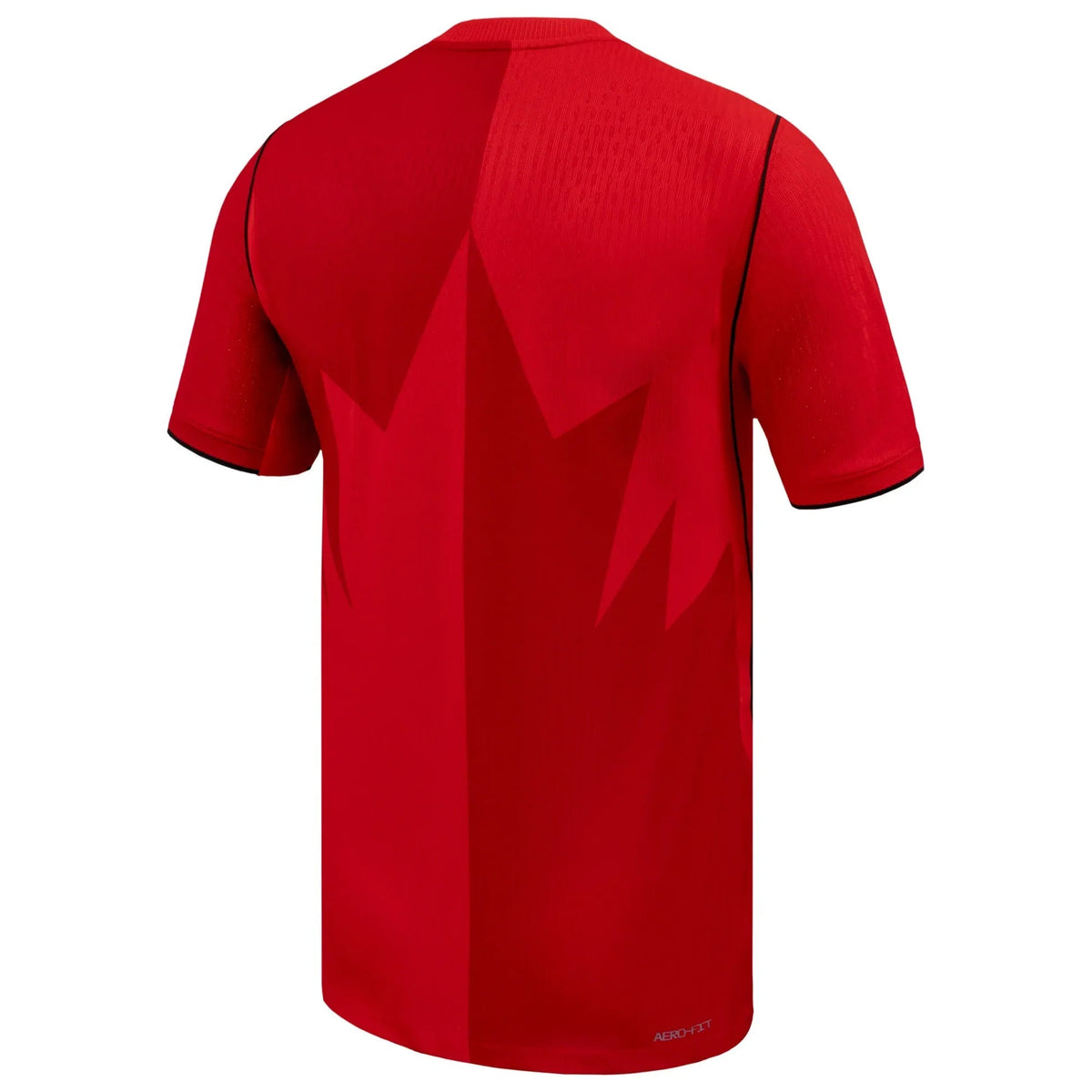 Nike Men's Canada Match Authentic Home Jersey 2026 (Red)